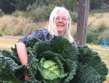 Λάχανο για τα ρεκόρ Γκίνες - Έχει το μέγεθος ενός ανθρώπου (φώτο)